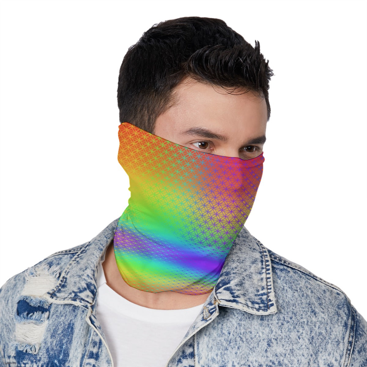 FOL Rainbow