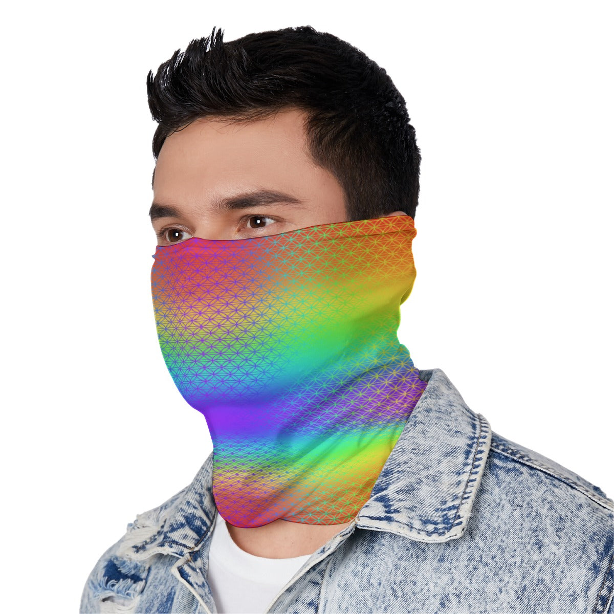 FOL Rainbow