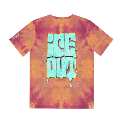 Melt Ice